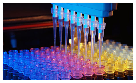 Image of 8-channel pipetting from Labcon web site.